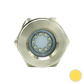 Apache PROLED Drain Series - Drain plug underwater led light - Sunshine Yellow - Stainless steel 316L - IP68