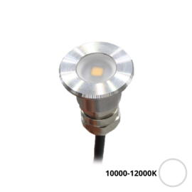 Apache PROLED - Flat Surface Step LED-Leuchte - 12VDC - Nicht polierter Edelstahl - Kaltes Weiß 10000-12000K - Ø 16 mm - IP6