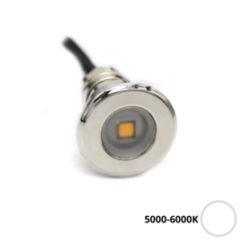 Apache PROLED - Flat Surface Step LED Light - 12VDC - Polished stainless steel - White 5000-6000K - Ø 16 mm  - IP67