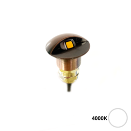 Apache PROLED - half covered Step LED Light - 12VDC - Bronze Stainless steel - Warm White 4000K - Diameter 16 mm  - IP67