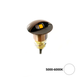 Apache PROLED - halb abgedeckte Step LED-Leuchte - 12VDC - Bronze Rostfreier Stahl - weiß 5000-6000K - Ø 16 mm - IP67