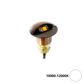 Apache PROLED - Half bedekte trap en deck LED inbouw spot - 12V - Bronze RVS - Koud wit 10000-12000K - Ø 16 mm - IP67